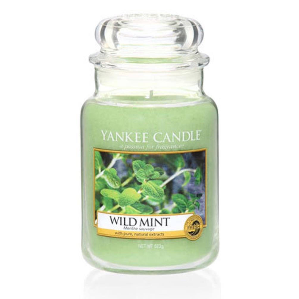 Yankee Candle Wild Mint Large Jar £22.49